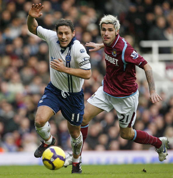 似乎截然不 似乎截然不